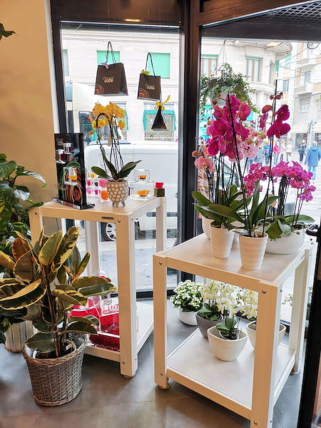 L'Oasi dei fiori de Milan fait peau neuve avec un aménagement jeune et élégant