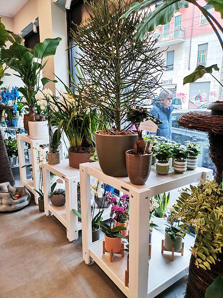 L'Oasi dei fiori de Milan fait peau neuve avec un aménagement jeune et élégant