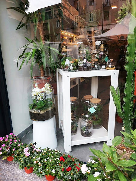 L'Oasi dei fiori de Milan fait peau neuve avec un aménagement jeune et élégant