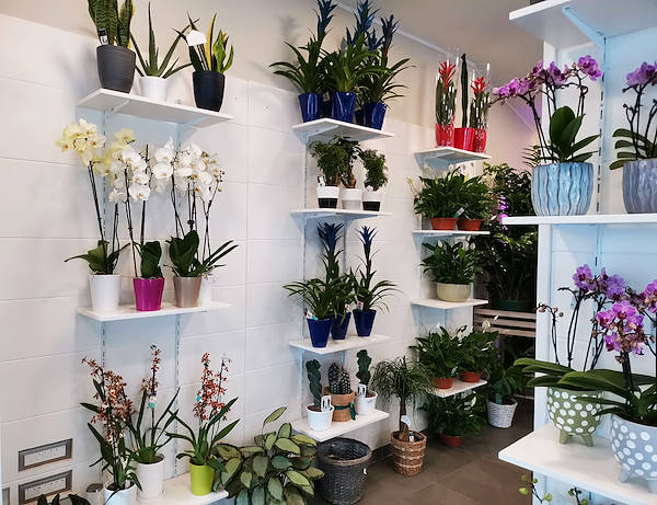 L'Oasi dei fiori de Milan fait peau neuve avec un aménagement jeune et élégant