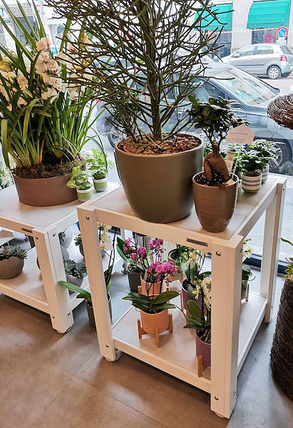 L'Oasi dei fiori de Milan fait peau neuve avec un aménagement jeune et élégant