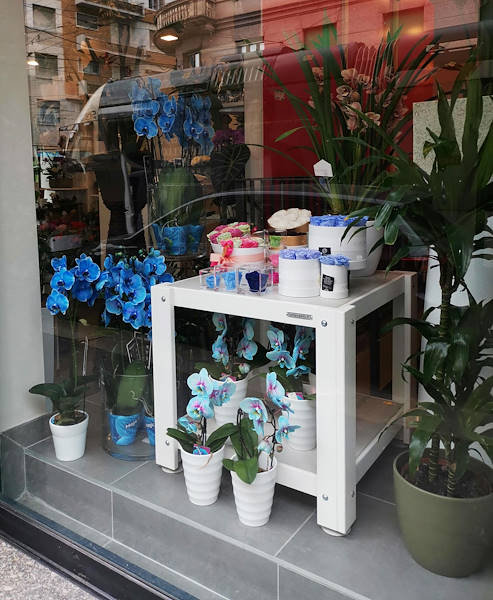 L'Oasi dei fiori de Milan fait peau neuve avec un aménagement jeune et élégant