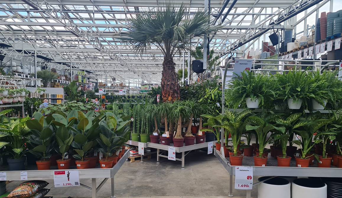 Megatek estrena su nuevo Garden: 6500 metros cuadrados dedicados al mundo verde