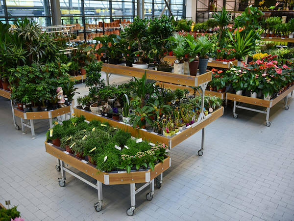 MERKUR enrichit le département plantes et fleurs avec les concepts Orlandelli