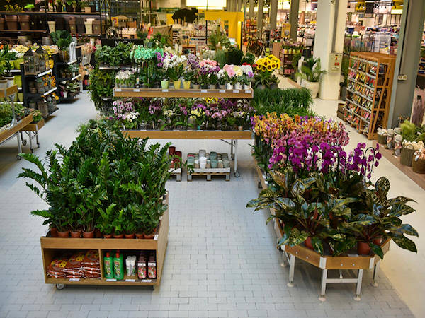 MERKUR esalta il reparto piante e fiori con i concept Orlandelli