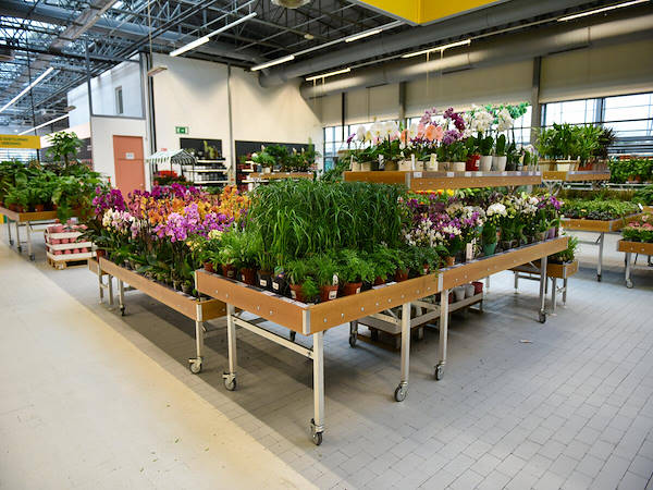MERKUR esalta il reparto piante e fiori con i concept Orlandelli