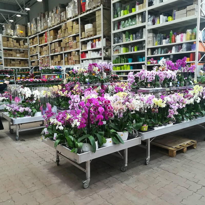 Mesa sobre ruedas de aluminio para montar