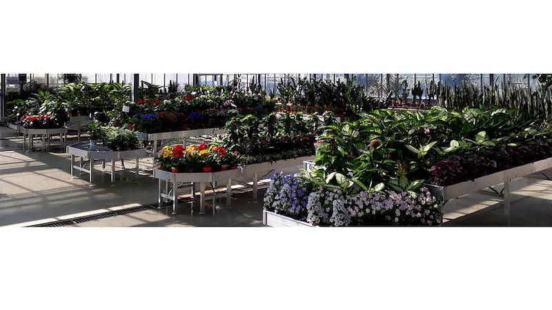 Mesas-Expositores para plantas y flores