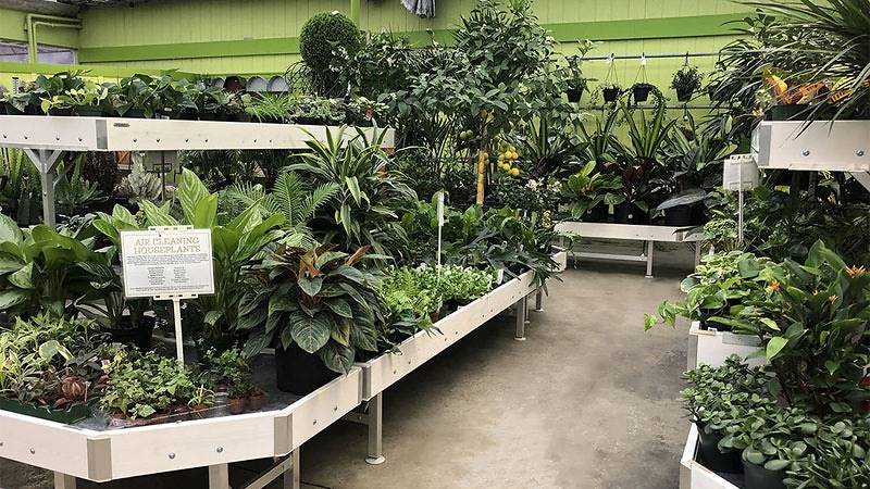 Orlandelli's Ausstellungslösungen ausgewählt für die Auffrischung des Look&Feel von Minter Country Garden