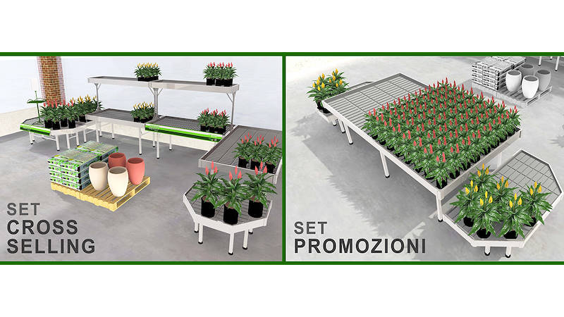 MODÈLES D’EXPOSITION POUR PLANTES ET FLEURS