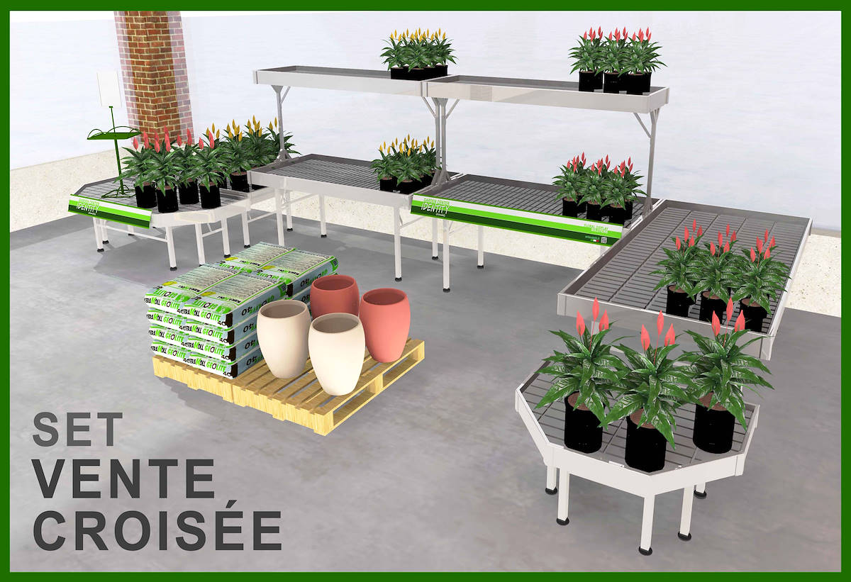 MODÈLES D’EXPOSITION POUR PLANTES ET FLEURS