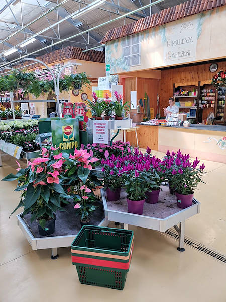 Mondo Verde Garden Center, indoor remodeling