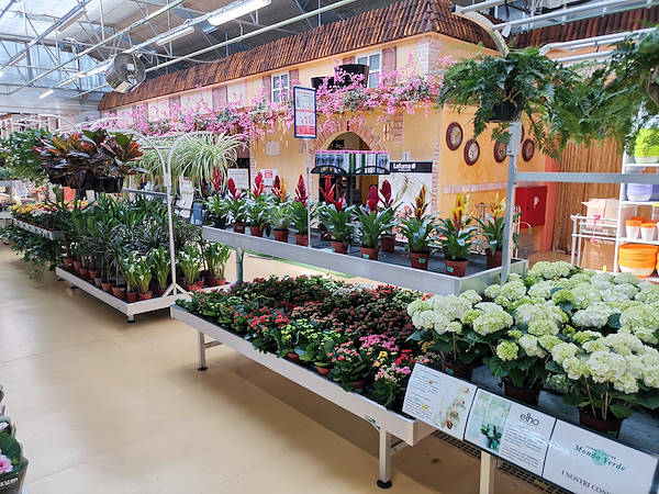 Mondo Verde Garden Center, restyling dell'area dedicata alle piante da interno