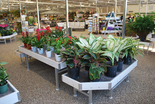 Neueröffnung der Garden Center Petitti