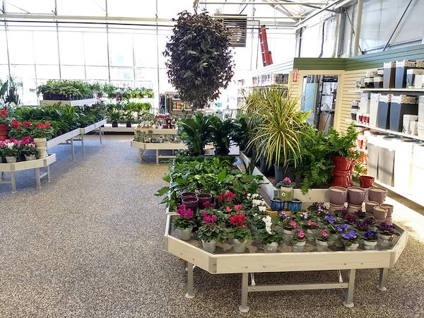 Neueröffnung der Garden Center Petitti