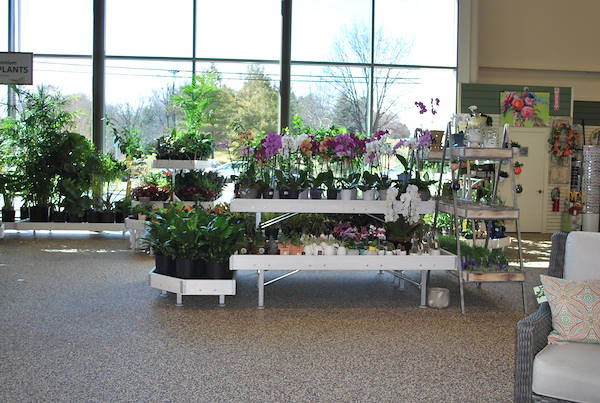 Neueröffnung der Garden Center Petitti