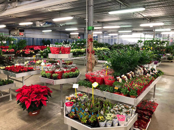 New exhibition concept for Legnaia Vivai