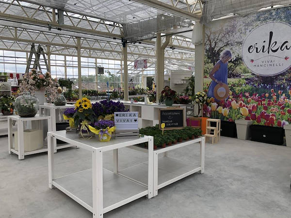 New Look for Erika Vivai