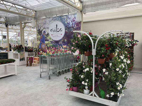 New Look for Erika Vivai