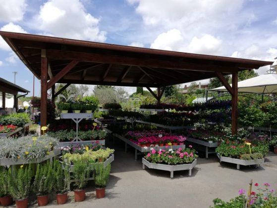 Nouveau look pour Erika Vivai Mancinelli