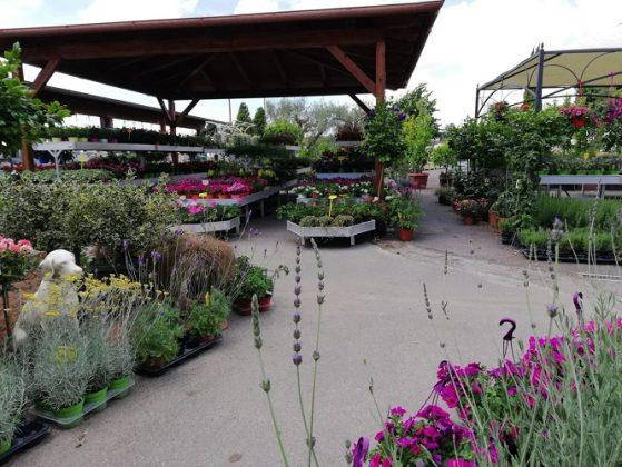 Nouveau look pour Erika Vivai Mancinelli