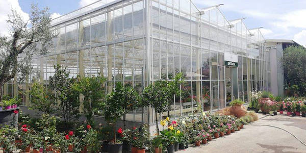 Nouveau look pour Erika Vivai Mancinelli