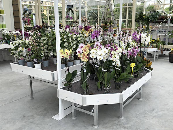 Nouveau look pour Erika Vivai Mancinelli