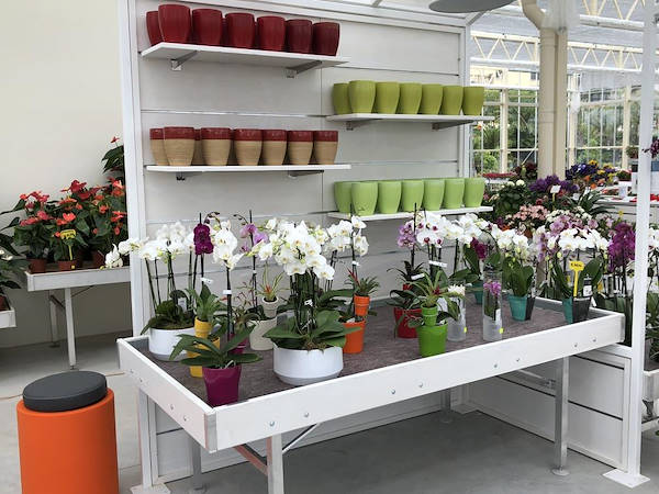 Nouveau look pour Erika Vivai Mancinelli