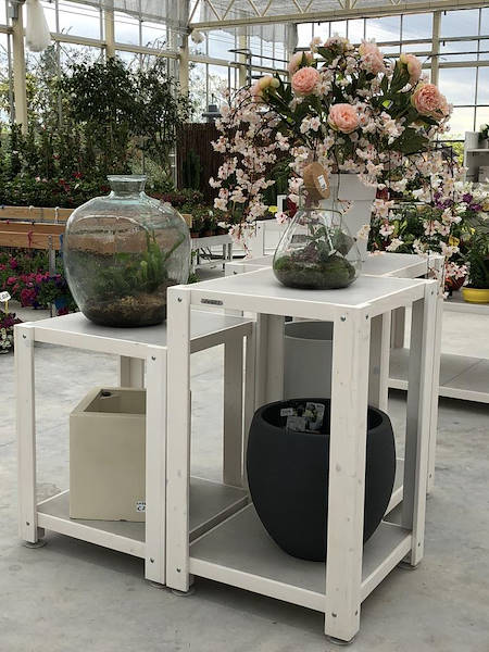 Nouveau look pour Erika Vivai Mancinelli