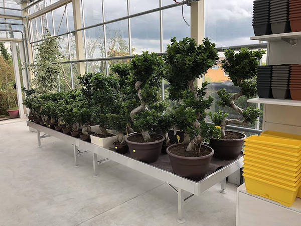 Nouveau look pour Erika Vivai Mancinelli