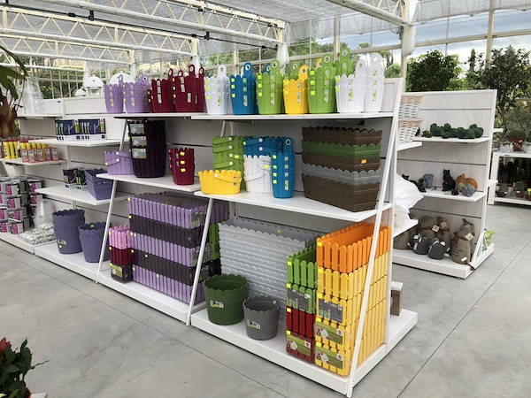 Nouveau look pour Erika Vivai Mancinelli