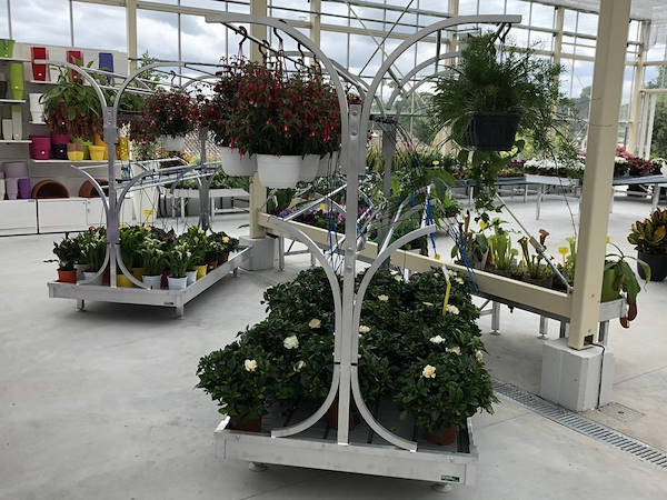 Nouveau look pour Erika Vivai Mancinelli