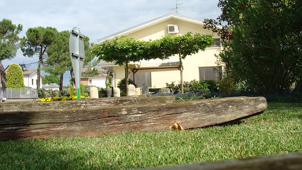 Nuestro Googlejardín