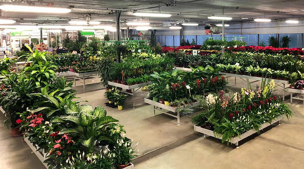 Nuevo concepto de exposición para Legnaia Vivai