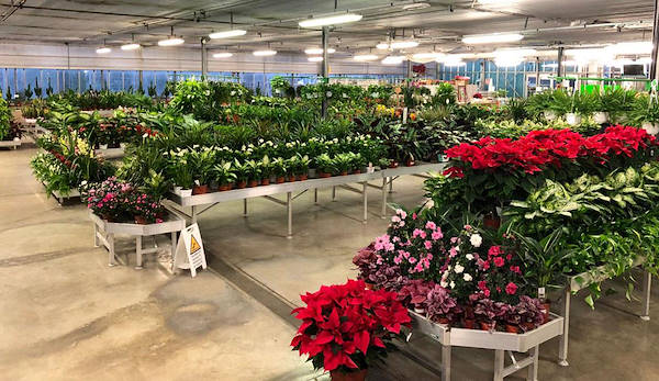 Nuevo concepto de exposición para Legnaia Vivai