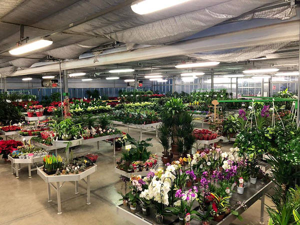 Nuevo concepto de exposición para Legnaia Vivai