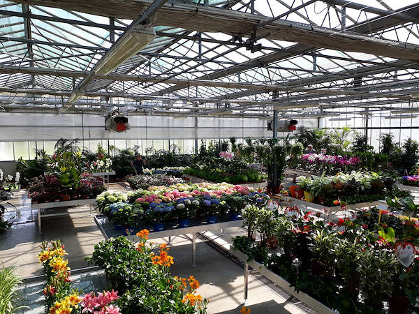 Nuevo concepto de exposición para Legnaia Vivai