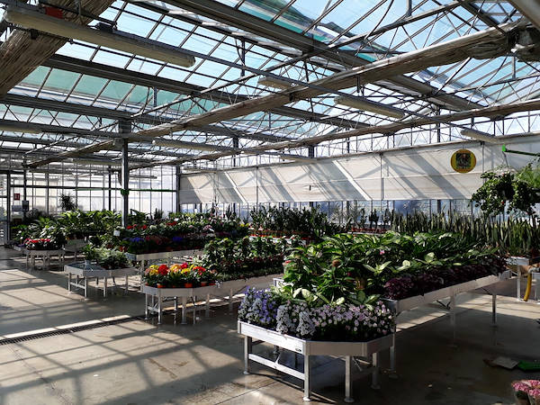 Nuevo concepto de exposición para Legnaia Vivai