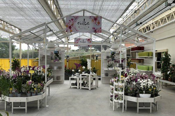 Nuevo look para Erika Vivai Mancinelli