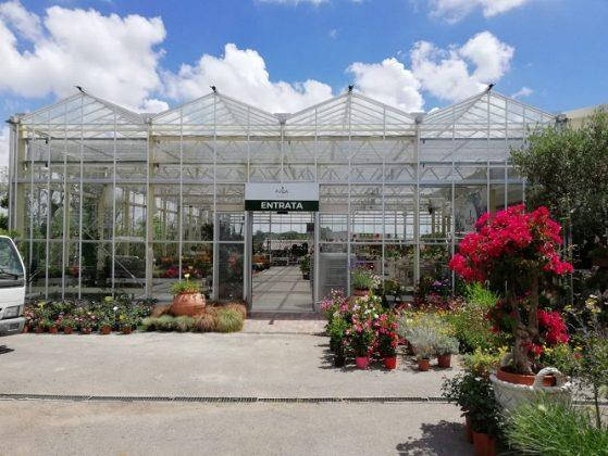 Nuevo look para Erika Vivai Mancinelli