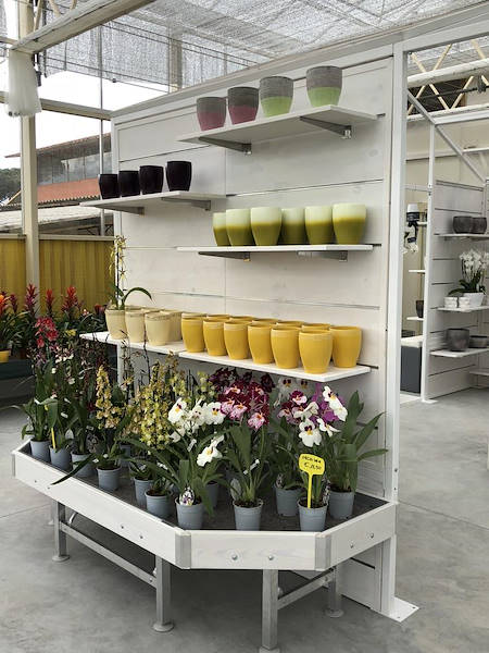 Nuevo look para Erika Vivai Mancinelli