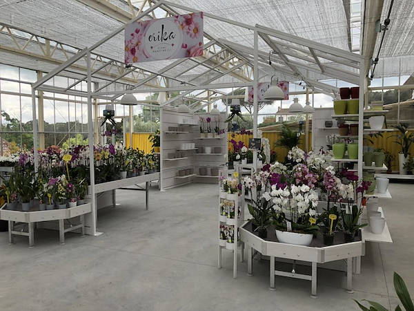 Nuevo look para Erika Vivai Mancinelli