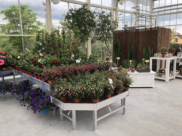 Nuevo look para Erika Vivai Mancinelli