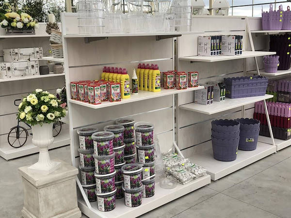 Nuevo look para Erika Vivai Mancinelli