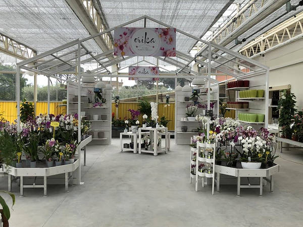 Nuevo look para Erika Vivai Mancinelli