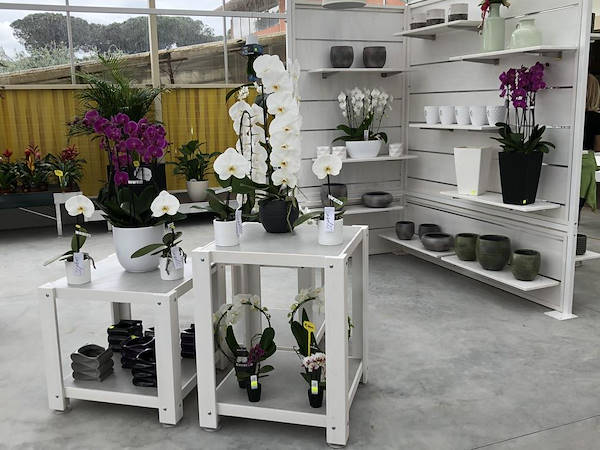 Nuevo look para Erika Vivai Mancinelli