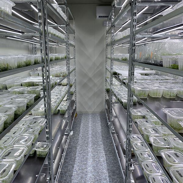 Chariot DC avec kit d'éclairage LED pour GERMINATION ET GREFFAGE