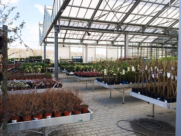 One of the secrets to make money in Floriculture