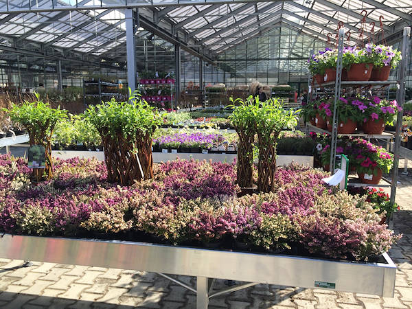 One of the secrets to make money in Floriculture