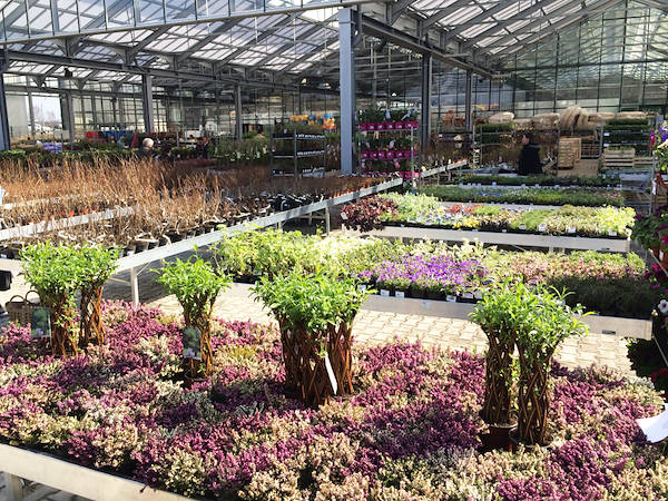 One of the secrets to make money in Floriculture